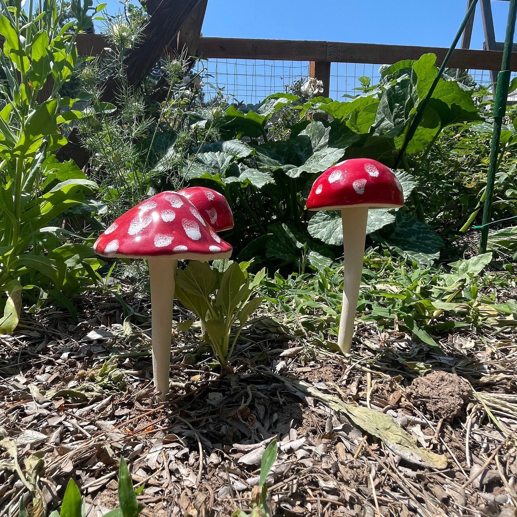 Mushroom Yard Decor - Etsy