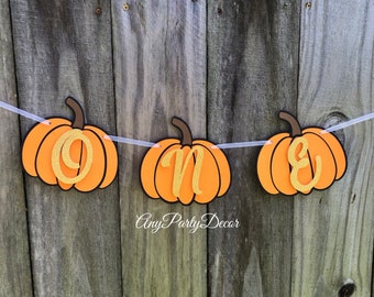 Little Pumpkin ONE Banner, Little Pumpkin Birthday Banner, Pumpkin First Birthday, ONE Pumpkin