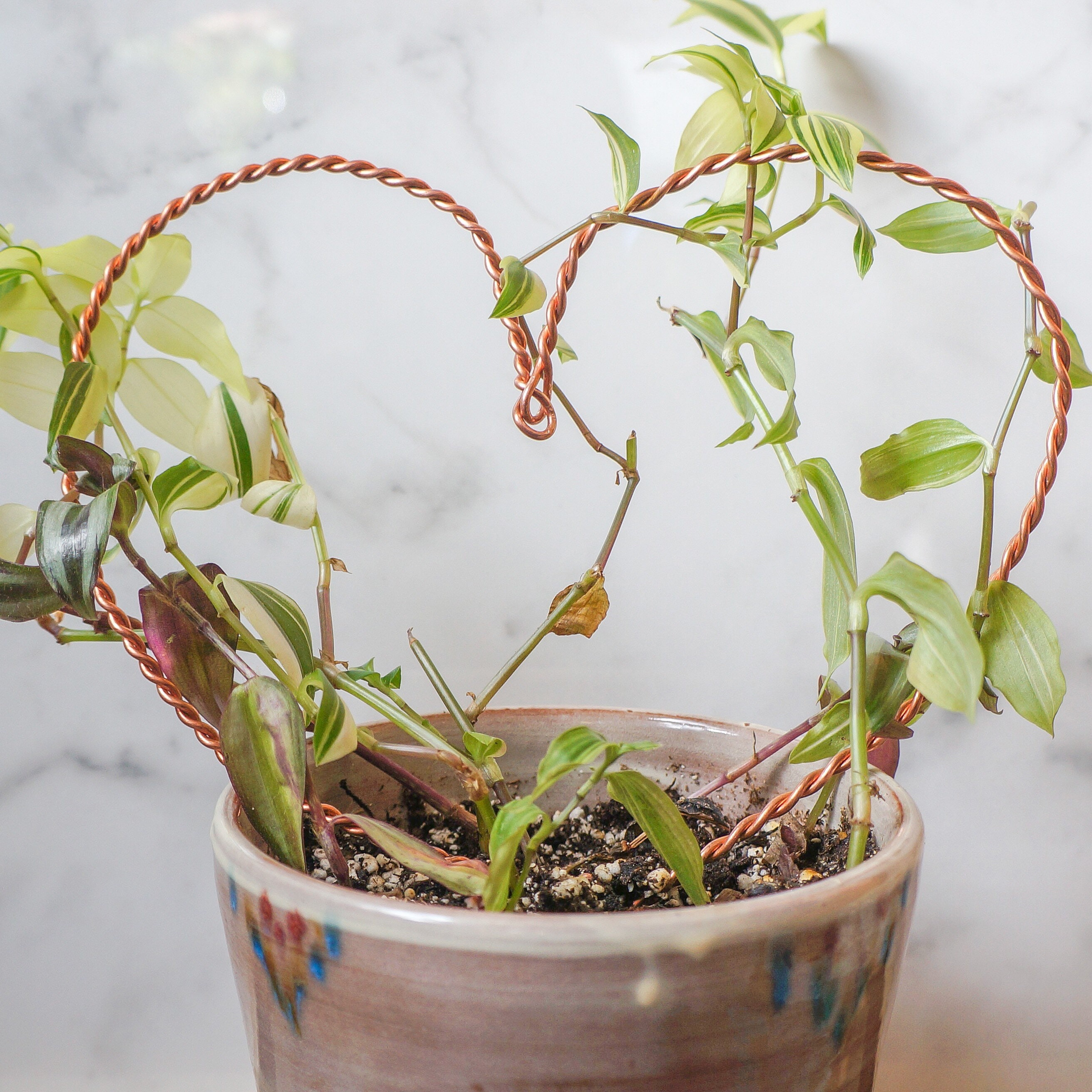 Twisted copper plant stake repurposed copper wire plant Etsy