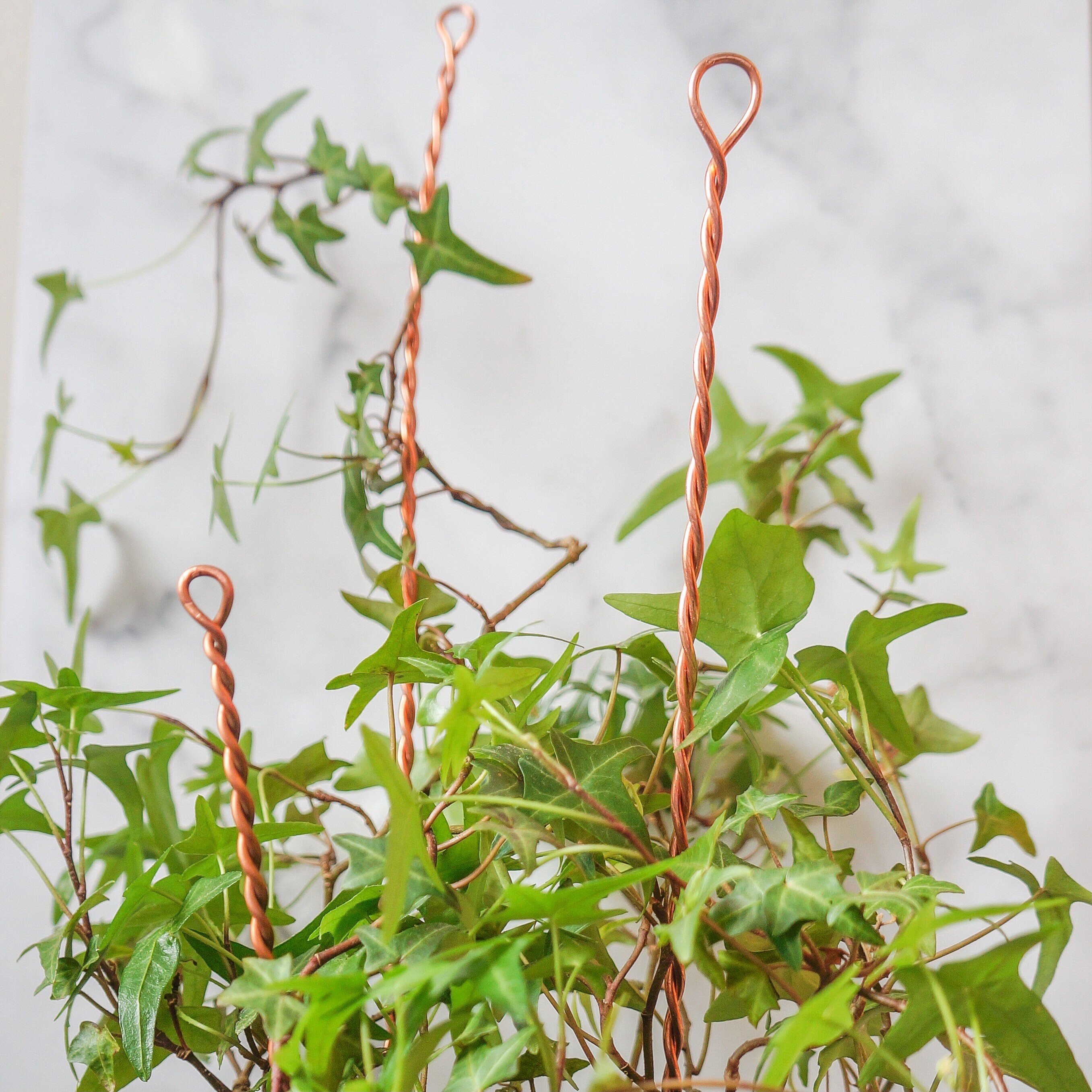 Twisted copper plant stake repurposed copper wire plant Etsy