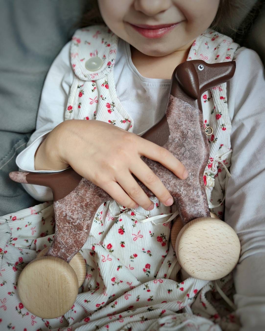 german shorthaired pointer toys