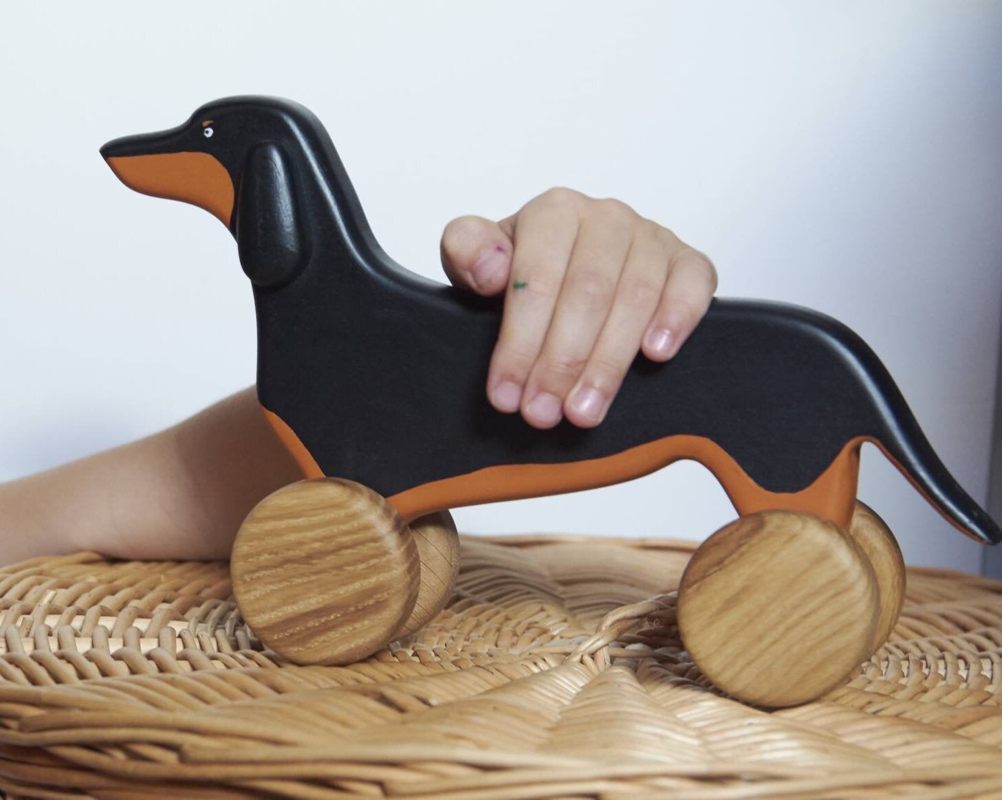 dachshund accessories