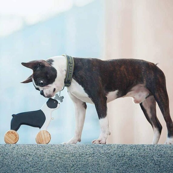 boston terrier baby toy