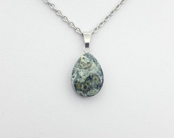 Kambaba Jasper Pendant Necklace, Stainless Steel Chain