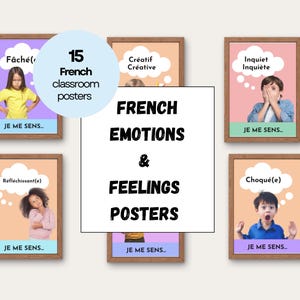 15 French Emotions and Feelings Posters, French Classroom, French Immersion, Diversity and Inclusion, French Classroom Decor, French Bundle