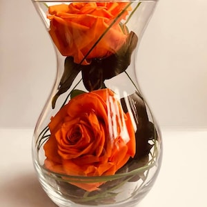 Preserved Luxury,Elegance,Natural,Hot,Orange, Roses,Posy, Glass,Vase, Beautiful,Green Leaves