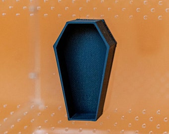 Coffin Jumping Spider Hide