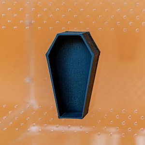 Coffin Jumping Spider Hide