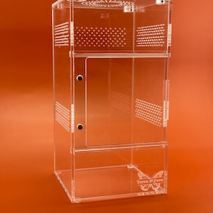 Adult Jumping Spider Enclosure