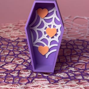 Webby heart Coffin Jumping Spider Hide
