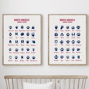 North America Animal Tracks Print Set of 2, Animal Footprint Poster, Field Guide, Animal Tracks Poster, Animal Tracks Sign, Woodland Nursery