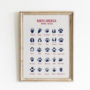 North America Animal Tracks Print Part I, Animal Footprint Poster, Field Guide, Animal Tracks Poster, Animal Tracks Sign, Woodland Nursery