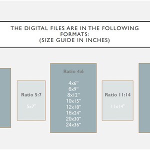 May include: A chart showing different aspect ratios for digital files, with size guides in inches. The chart is divided into four sections, each with a different aspect ratio: 4:5, 5:7, 4:6, and 3:4. Each section lists the dimensions of the digital files in inches, starting with 4x5 inches and going up to 24x36 inches.