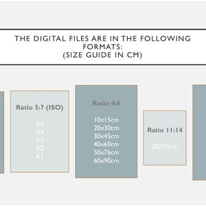 May include: A chart showing different digital file sizes in centimeters for various aspect ratios, including 4:5, 5:7 (ISO), 4:6, 11:14, and 3:4. The chart includes common paper sizes like A5, A4, A3, A2, and A1.