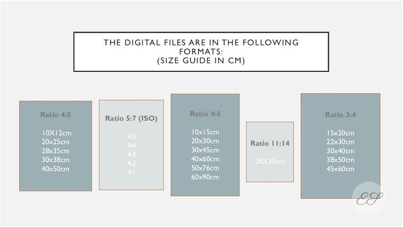 May include: A chart showing different digital file sizes in centimeters for various aspect ratios, including 4:5, 5:7 (ISO), 4:6, 11:14, and 3:4. The chart includes common paper sizes like A5, A4, A3, A2, and A1.
