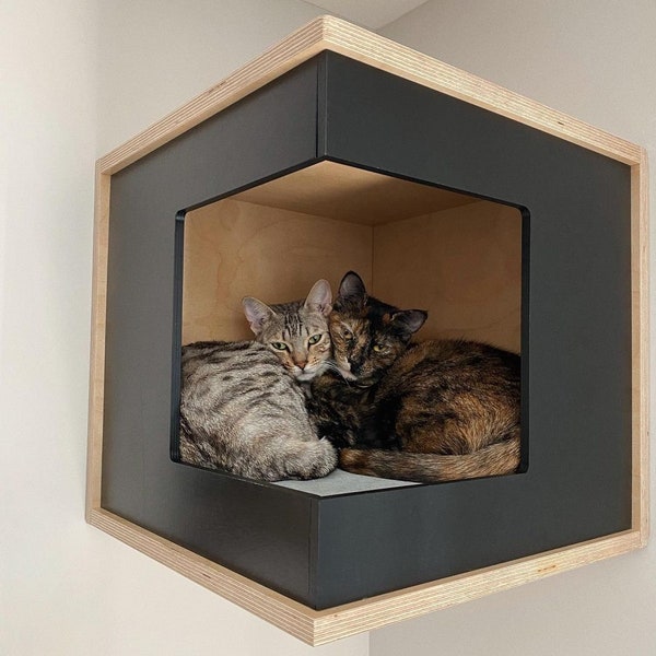 Wally CornerBox, étagère pour chat, boîte pour chat, lit mural pour chat, étagère grimpante en bois pour chat, perchoir pour chat, meubles muraux, étagère d'angle pour chat, lit pour chat