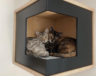 Wally CornerBox, Katzenregal, Katzenbox, an der Wand befestigtes Katzenbett, Holzkatzenkletterregal, Katzenstange, Wandmöbel, Eckkatzenregal, Katzenbett