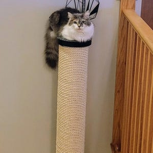 Mounty Chonk Cat Tree- ultra high and wide scratching post