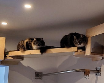 Wally Plank, Cat Ramp Cat bridge, Wall mounted, Cat Playground, Connecting bridge, Cat Walkway, Cat gym, Cat boardwalk, Railing Shelf