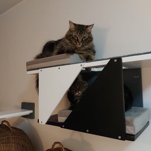 Sharp Tunnel Mini, Wall mounted modern cat shelf with beds and multiple openings
