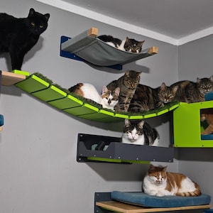 Wally WideBridge (Solo - Solo mount), Cat bridge, Wall mounted, Cat Playground, Connecting bridge, Cat Walkway, Cat gym, Cat boardwalk,Shelf