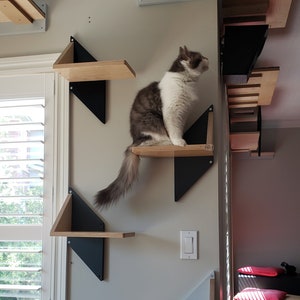 Wally Sharp Step, Cat Shelf, Cat stair