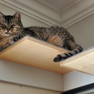 Wally Combo Corner, wandgemonteerd kattenhoekplankje
