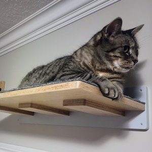 Wally Flat XL, Long wall mounted cat shelf, Climbing and perching shelf