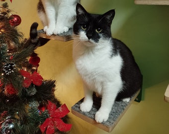 Puede incluir: Dos gatos, uno atigrado y blanco y otro blanco y negro, sentados en un árbol para gatos con una superficie de alfombra gris. El árbol para gatos está hecho de madera y tiene una plataforma verde. El gato atigrado está sentado en la plataforma superior y el gato blanco y negro está sentado en la plataforma inferior.