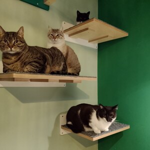 Wally BigCat Flat, Wall Mounted Cat Shelf- great for cats of all sizes, especially for large cats