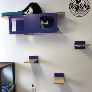 Wally Tunnel Bundle - Tunnel & 3x1-Step -Cat shelf, Cat activity center, Cat perch, Cat gift, Cat bed, Cat gym, Cat complex, Cat loft, Shelf