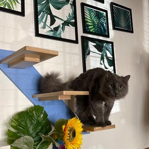 Wally 3-Step (Right to Left Climb), Cat Shelf, Cat Step, Wall Mounted Cat Stairs, Cat Climbing Shelf, Wall furniture, Cat climber, Cat gym