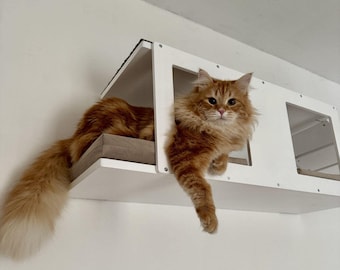 Wally BigCat Tunnel Upside Down - półka ścienna dla kota z poduszkami, przeznaczona dla dużych kotów
