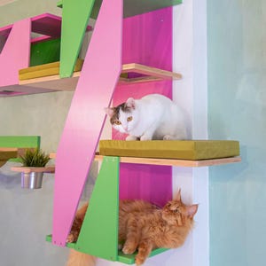 Big Cat Sharp Stacker: estante para gatos de varios niveles para gatos grandes, tiene 2 cojines