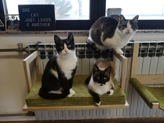 Cat radiator bed for double radiator 2025