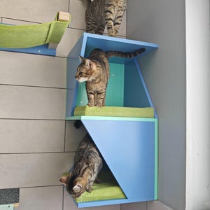 Wally Sharp Tower - Wall Corner Double Bed Shelf Box for Cats