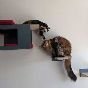 Wally BigCat Tunnel Mini Bundle - set of 4 cat shelves for big cats