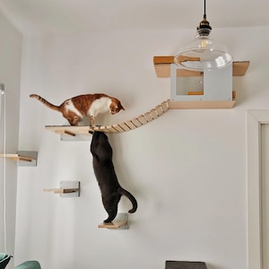 Wally Play Bundle Mini - Tunnel Mini, Bridge 12, Flat 35 & 3x1-Step -Set of wall-mounted cat shelves, ideal for small homes