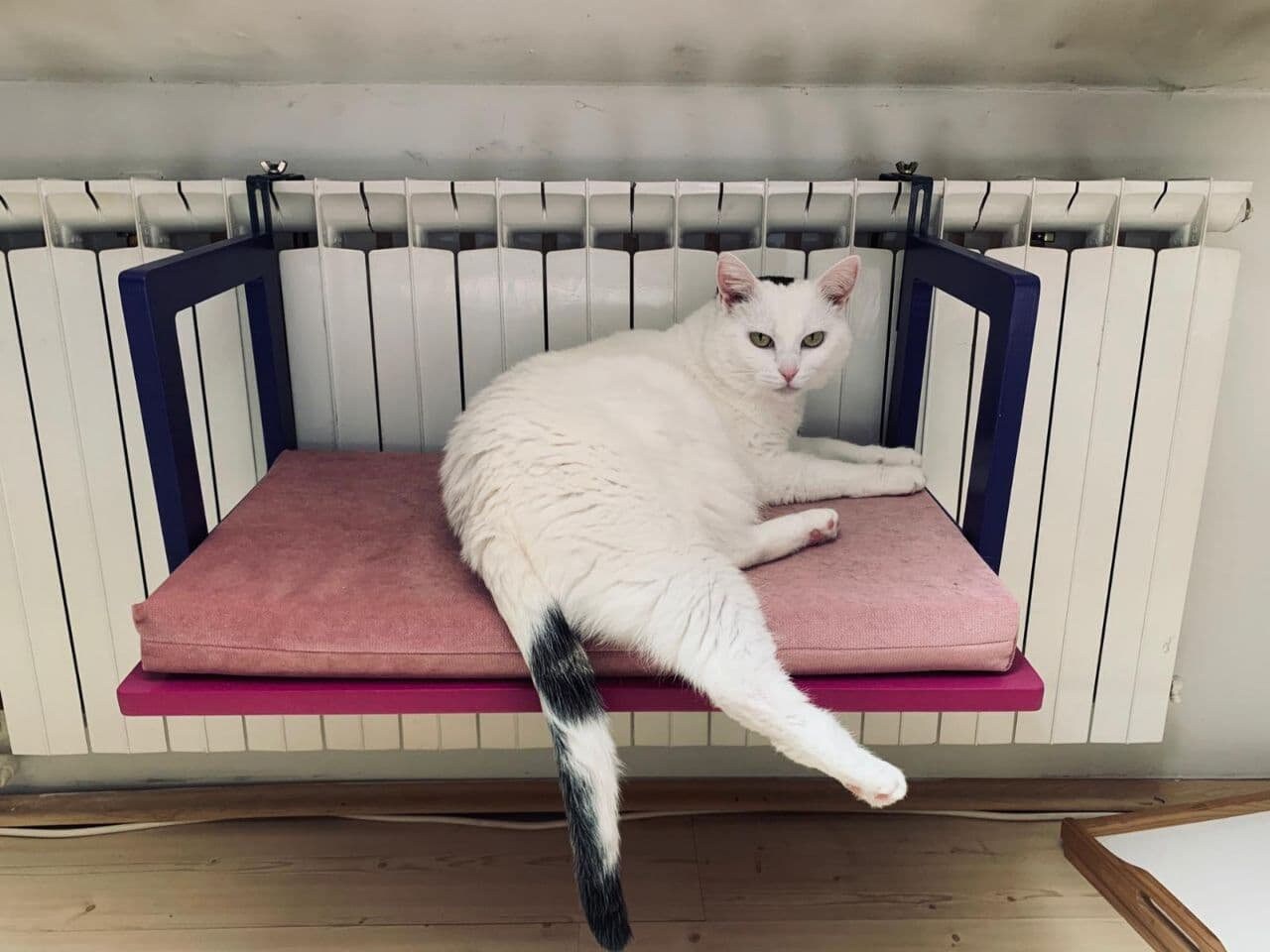 Radiator hammock cat bed shelf hotsell