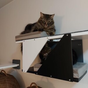 May include: A wall-mounted cat shelf system featuring a white triangular side panel and a black triangular side panel. The structure includes two levels with gray cushioned pads. One long-haired brown tabby cat rests on the top level, while another cat is positioned on the lower level within the shelf structure.