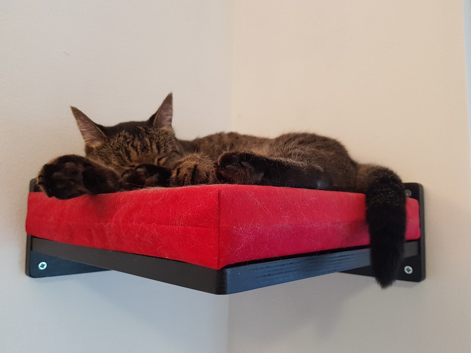 Wally Corner Cat Shelf Cat Step Cat Climber Wall Mounted Etsy