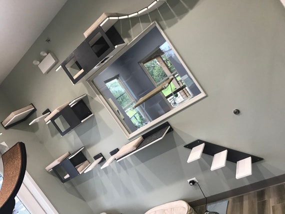 through wall cat tunnel