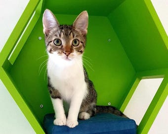 Wally Hex 25, Cat Shelf, Cat Step, Cat Gift, Honeycomb cat house,  Wood Cat Climbing Shelf, Cat Perch, Wall furniture, Hexagonal shelf