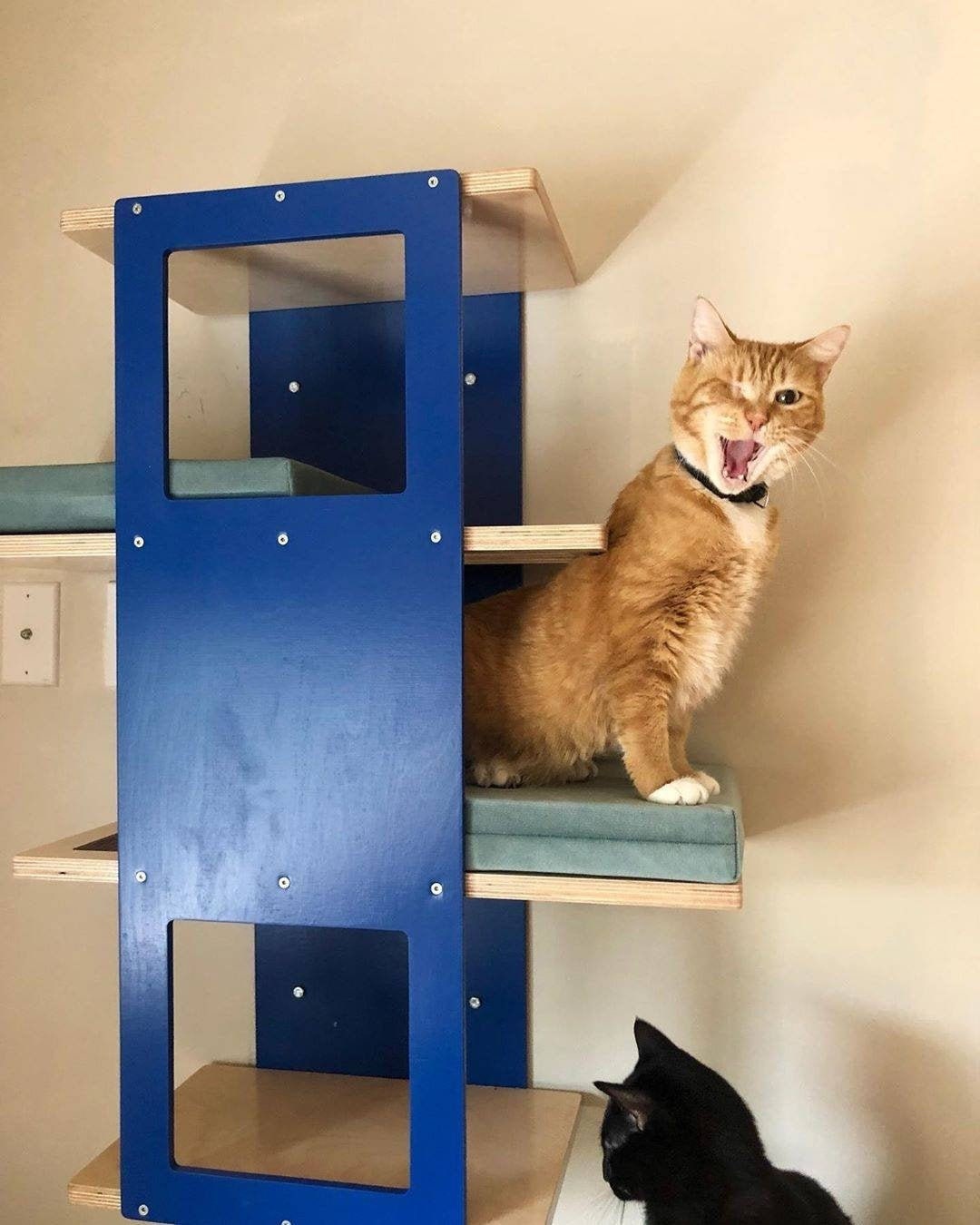 Diy Cat Playground