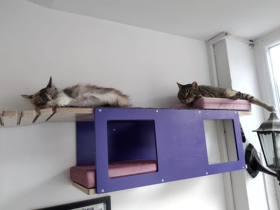 Cat clearance wall tunnel