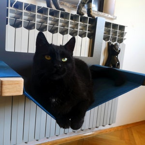 double cat radiator bed