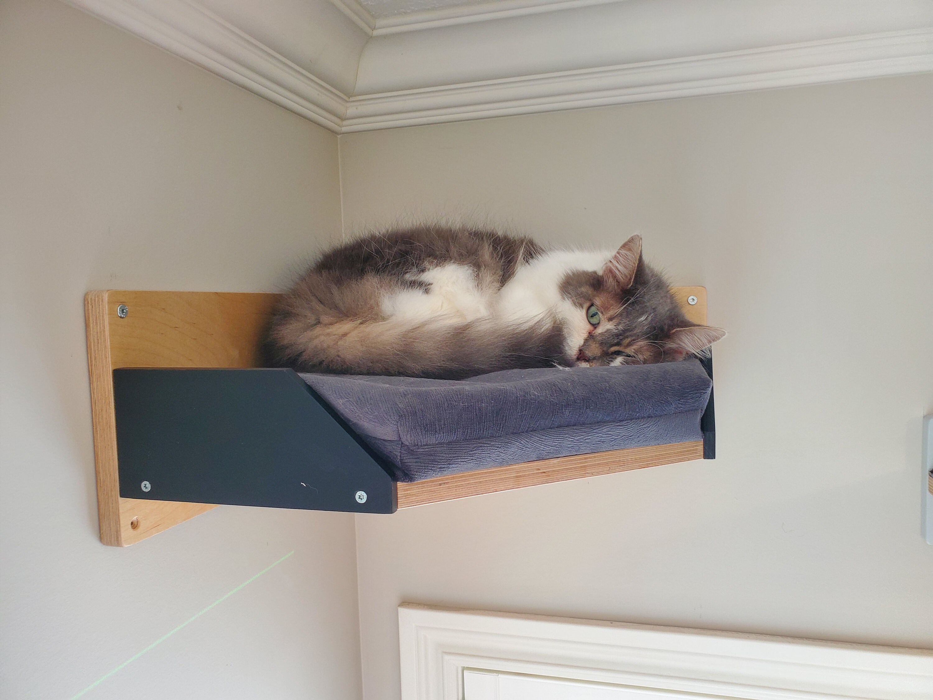 Oggetto modern pets play set products redモダンペット ドリーミング