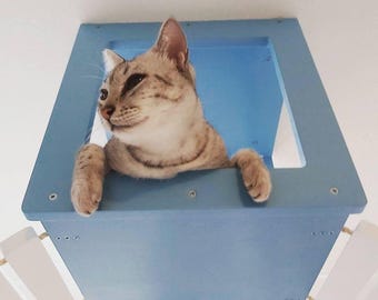 Wally Top - Ceiling mounted cat shelf, Cat climbing furniture
