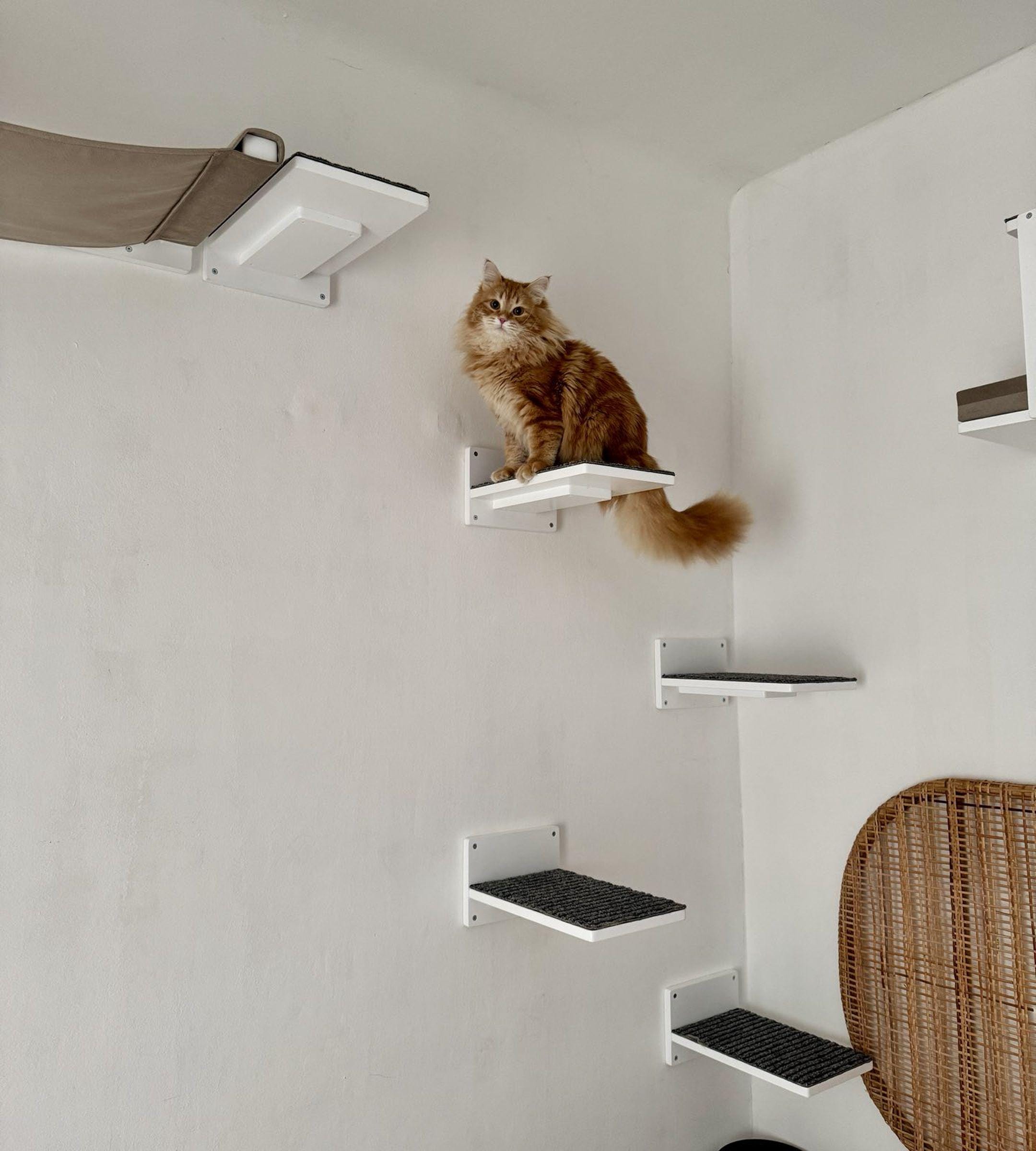 Cat Window Perch Cat Scratching Staircase, Wooden Climbing Post