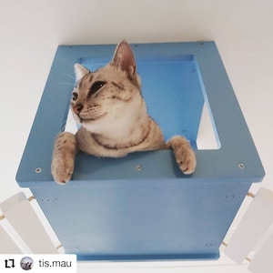 Wally Top - Ceiling mounted cat shelf, Cat climbing furniture
